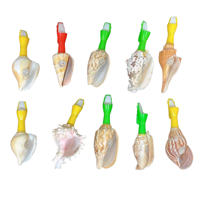 Seashell Whistles