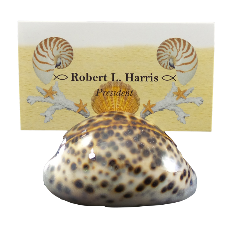 Cardholders | Tiger | Cowrie