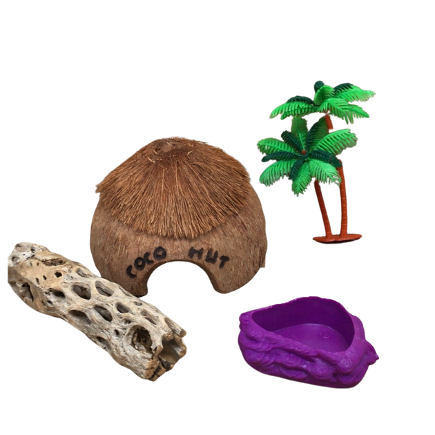 Coco Hut Hermit Crab Kit The Shell Connection