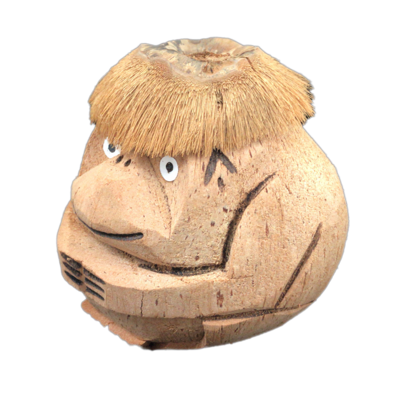 Monkey Hair | Coin Bank | Carved Coconut