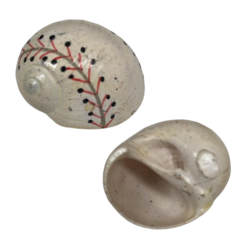 Sports | Painted Happy Hermie Shell