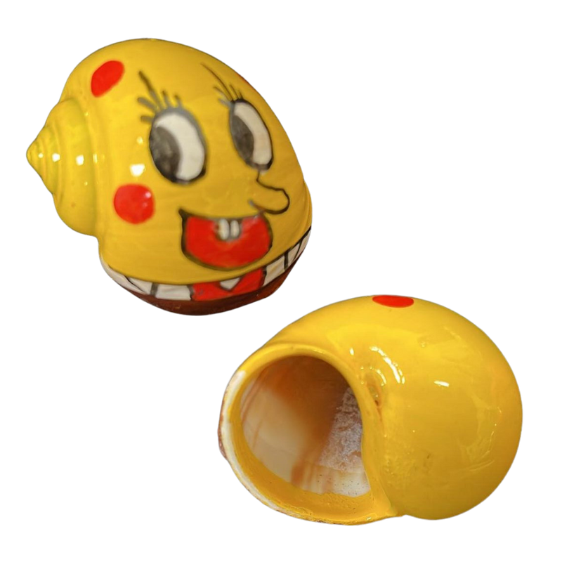 Sponge Hermie | Painted Happy Hermie Shell