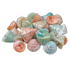 Tiny | Dyed | Pearlized | Pastel | Wavy Top