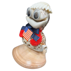 Mr. USA | Assorted Shells | Novelty
