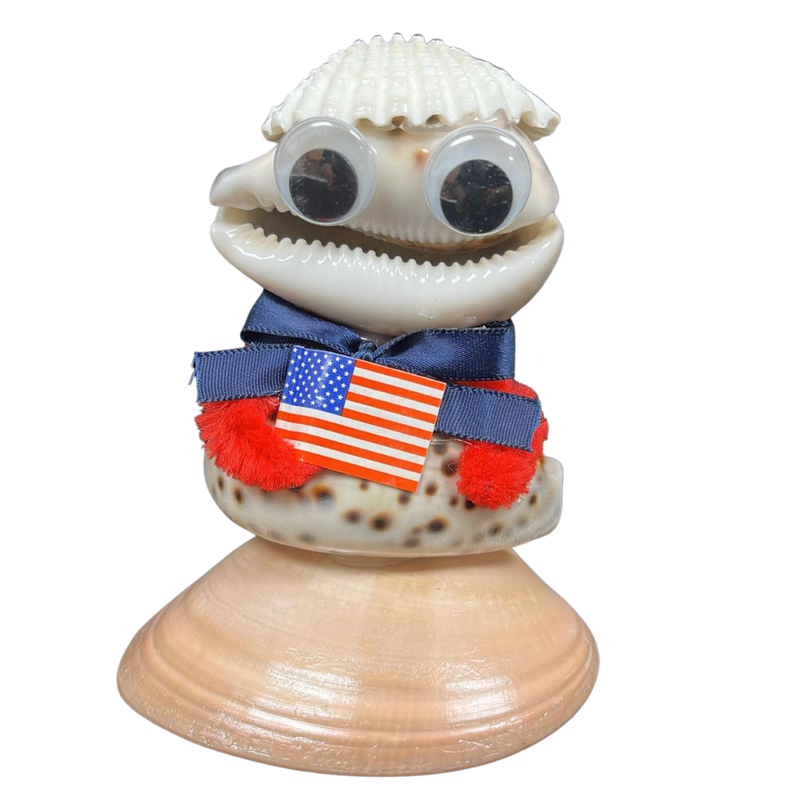 Mr. USA | Assorted Shells | Novelty