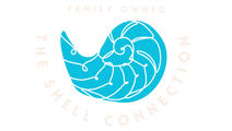 The Shell Connection