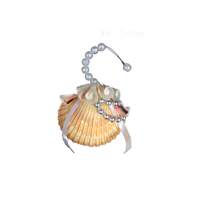 Seashell Christmas Ornaments • Real Seashells • Handmade | The Shell