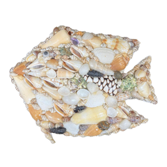 Wall | Fish | Assorted Shells | Novelty