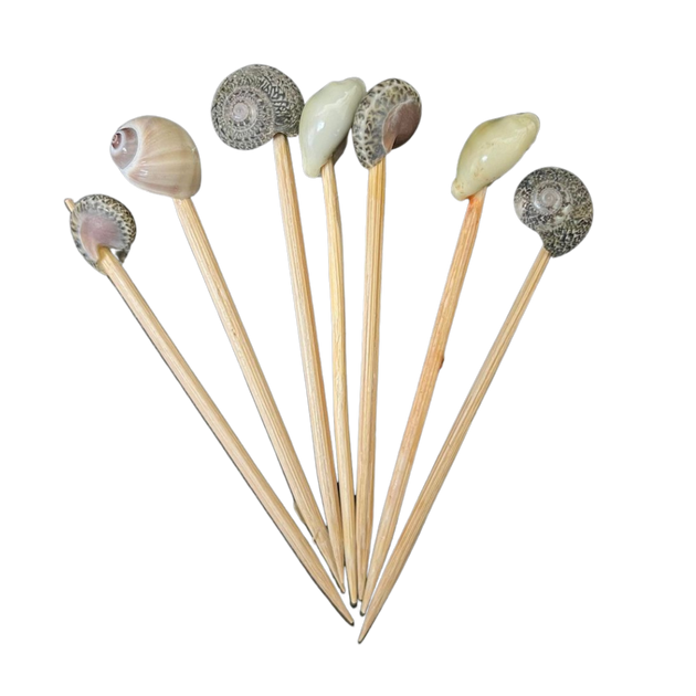 Shell Party Toothpicks | The Shell Connection
