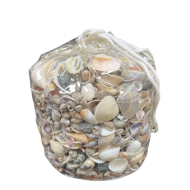 India Shell Mix | Small Shells | Vinyl Bag | The Shell Connection