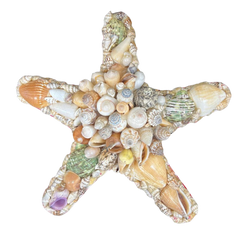 Wall | Starfish | Assorted Shells | Novelty